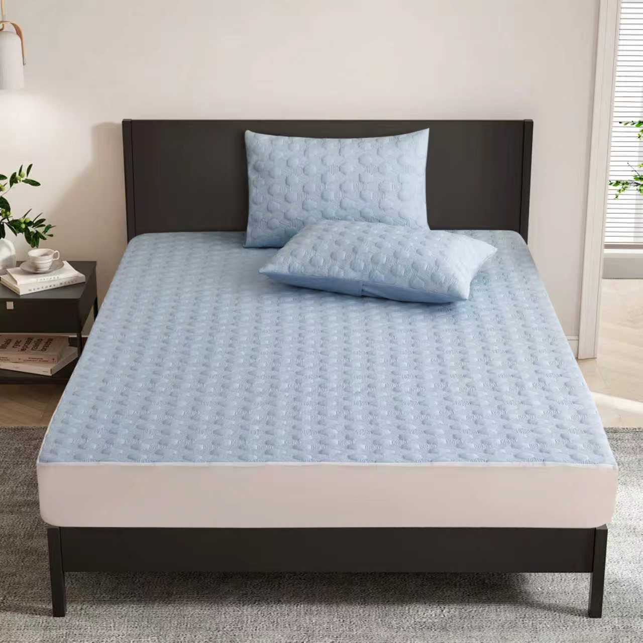 Mattress protector set